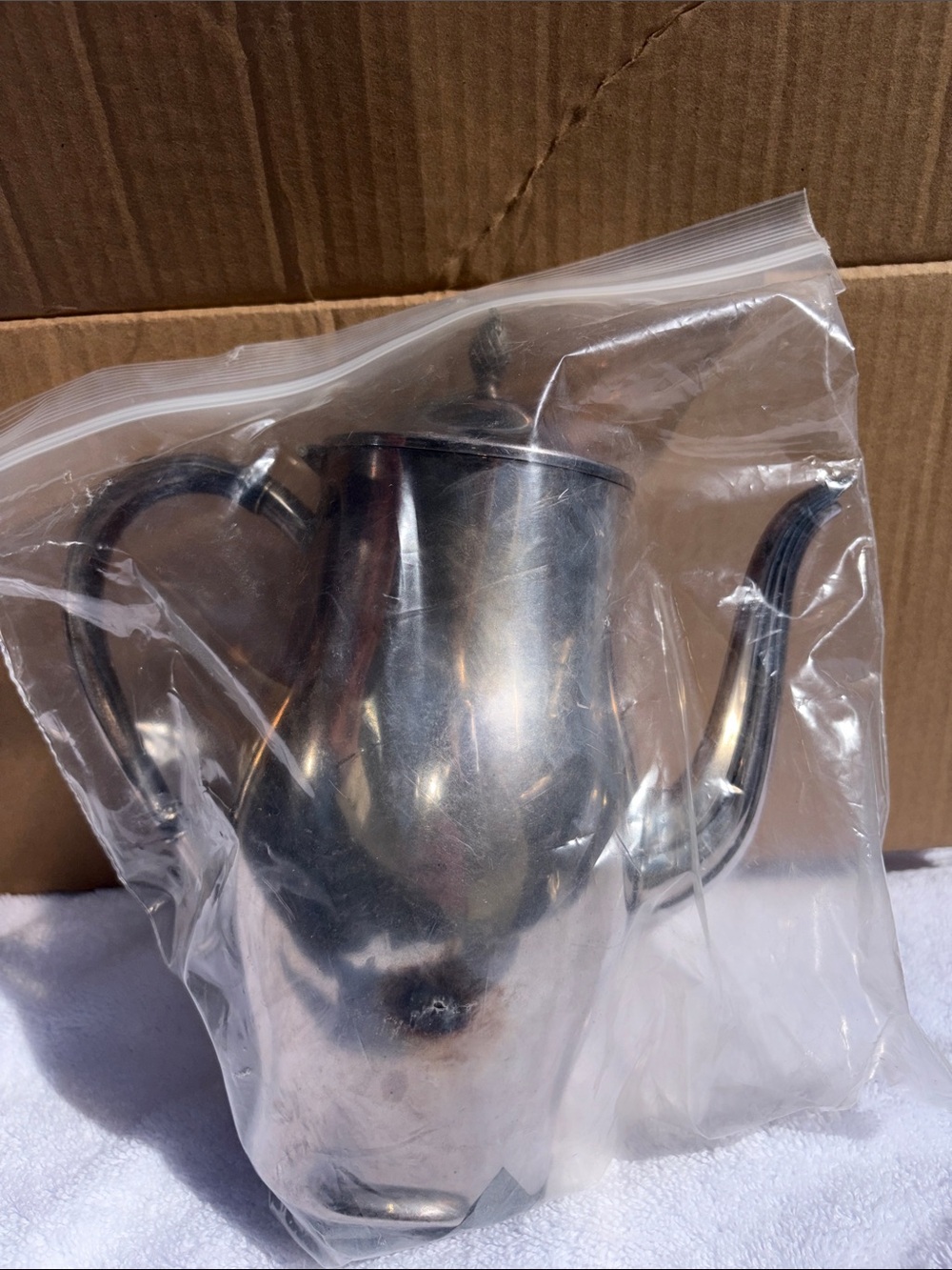 Stainless Steel Silver Teapot with Curved Spout